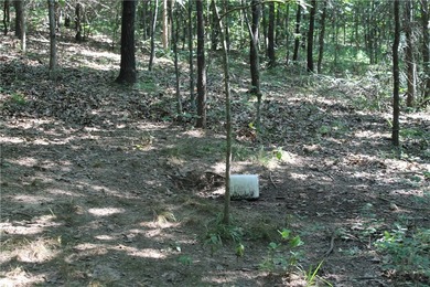 Discover a rare opportunity on Firetower Road-55.09 acres - photo 30