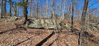 Here it is! This 6.04 acre bluff lot looks over the beautiful - photo 30