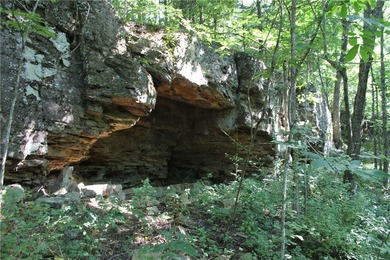 Discover a rare opportunity on Firetower Road-55.09 acres - photo 31
