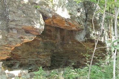 Discover a rare opportunity on Firetower Road-55.09 acres - photo 32