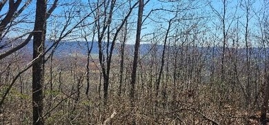 Here it is! This 6.04 acre bluff lot looks over the beautiful - photo 32