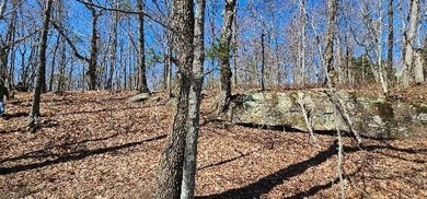 Here it is! This 6.04 acre bluff lot looks over the beautiful - photo 33
