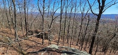 Here it is! This 6.04 acre bluff lot looks over the beautiful - photo 34