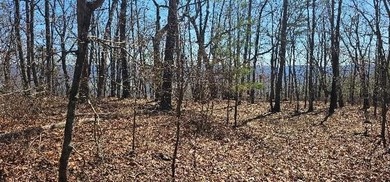 Here it is! This 6.04 acre bluff lot looks over the beautiful - photo 36