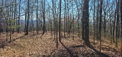 Here it is! This 6.04 acre bluff lot looks over the beautiful - photo 37
