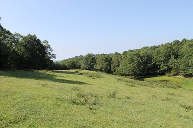 Discover a rare opportunity on Firetower Road-55.09 acres - photo 38