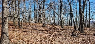 Here it is! This 6.04 acre bluff lot looks over the beautiful - photo 38