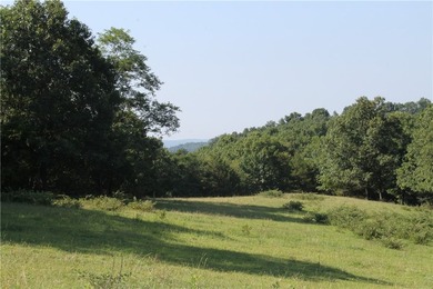 Discover a rare opportunity on Firetower Road-55.09 acres - photo 39