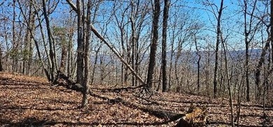 Here it is! This 6.04 acre bluff lot looks over the beautiful - photo 39