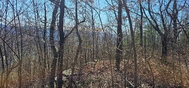 Here it is! This 6.04 acre bluff lot looks over the beautiful - photo 40