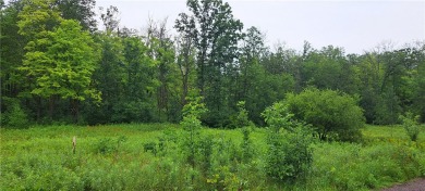 Lake Acreage For Sale in Stone Lake, Wisconsin