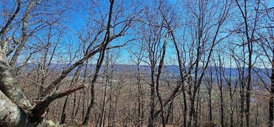 Here it is! This 6.04 acre bluff lot looks over the beautiful - photo 42