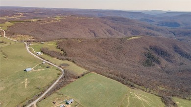 Discover a rare opportunity on Firetower Road-55.09 acres - photo 43