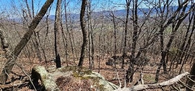 Here it is! This 6.04 acre bluff lot looks over the beautiful - photo 43