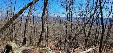 Here it is! This 6.04 acre bluff lot looks over the beautiful - photo 44