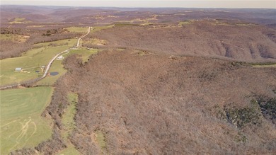 Discover a rare opportunity on Firetower Road-55.09 acres - photo 46