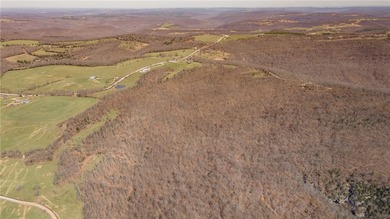 Discover a rare opportunity on Firetower Road-55.09 acres - photo 47