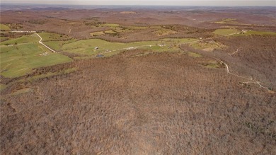 Discover a rare opportunity on Firetower Road-55.09 acres - photo 48