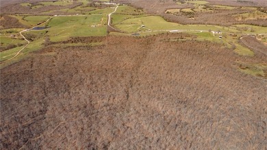 Discover a rare opportunity on Firetower Road-55.09 acres - photo 49