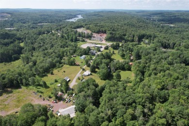 (private lake, pond, creek) Commercial For Sale in Mongaup Valley New York