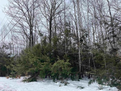 Eastman Pond Lot For Sale in Grantham New Hampshire