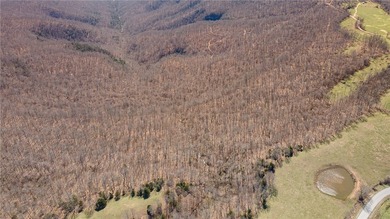 Discover a rare opportunity on Firetower Road-55.09 acres - photo 54
