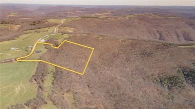 Discover a rare opportunity on Firetower Road-55.09 acres - photo 56