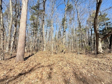 Lake Lot Sale Pending in Hayward, Wisconsin
