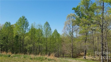 4.52 ACRES PARTIALLY CLEARED AND WOODED WITH MULTIPLE BUILD - Lake Acreage For Sale in Mill Spring, North Carolina