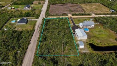 Property is raw land, uncleared. It's a 1 acre corner lot with - photo 3