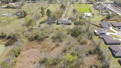 This 10.7-acre estate in the heart of Beulah offers a rare - photo 36