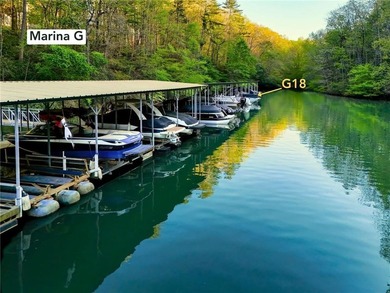 NEW PRICE | LAKE LANIER VIEWS | COVERED DEEP WATER BOAT SLIP | - photo 4