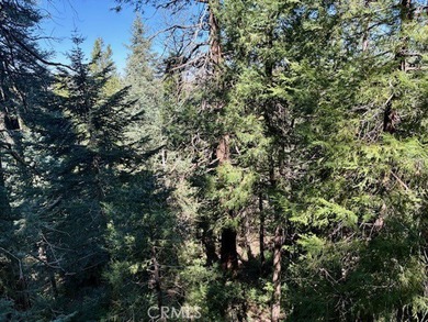 Nestled among the pines of Crestline, this charming mountain - photo 11