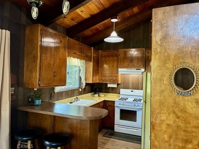 Nestled among the pines of Crestline, this charming mountain - photo 15