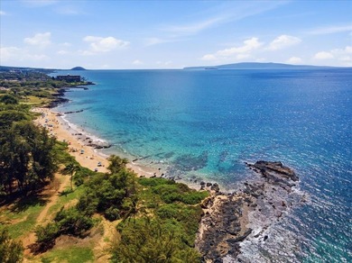 Experience the best of south Kihei living at Maui Banyan - photo 33