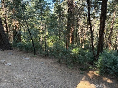 Nestled among the pines of Crestline, this charming mountain - photo 37
