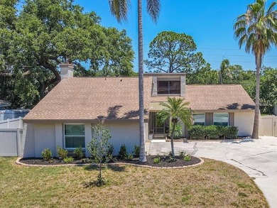 (private lake, pond, coastal) Home For Sale in Palm Harbor Florida