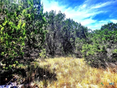 Canyon Lake Lot For Sale in Fischer Texas
