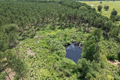 (private lake, pond, creek) Acreage For Sale in Tenaha Texas