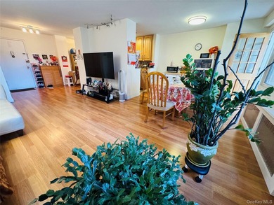 Experience the best of downtown Flushing living in this spacious - photo 6