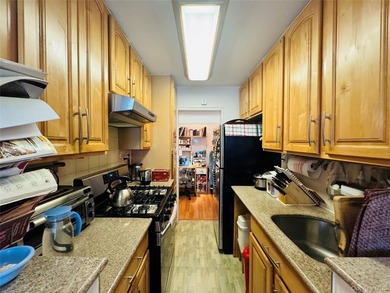 Experience the best of downtown Flushing living in this spacious - photo 7