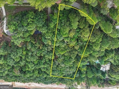 Lake Lot For Sale in Gainesville, Georgia