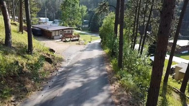 LOCATION! LAKE ACCESS! LOCATION! Escape to the Black Hills with - photo 2