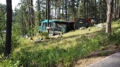 LOCATION! LAKE ACCESS! LOCATION! Escape to the Black Hills with - photo 4