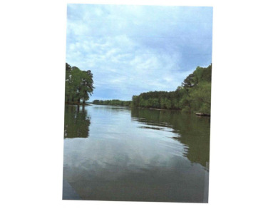 Lot 7 on Waterside Lane - photo 7