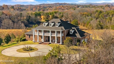 (private lake, pond, creek) Home For Sale in Sevierville Tennessee