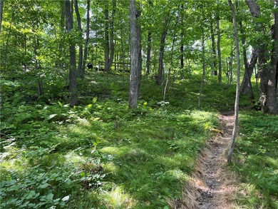Phenomenal lot! Craft your dream home or cabin on the serene - photo 11