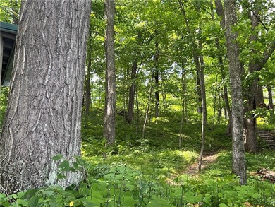 Phenomenal lot! Craft your dream home or cabin on the serene - photo 12