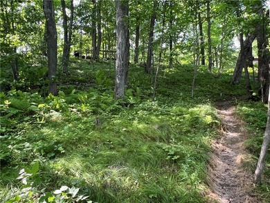 Phenomenal lot! Craft your dream home or cabin on the serene - photo 13