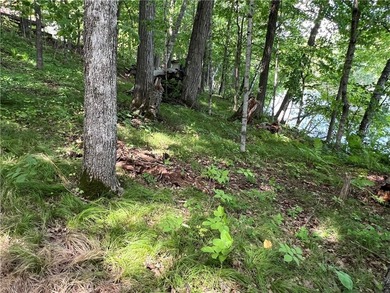 Phenomenal lot! Craft your dream home or cabin on the serene - photo 14